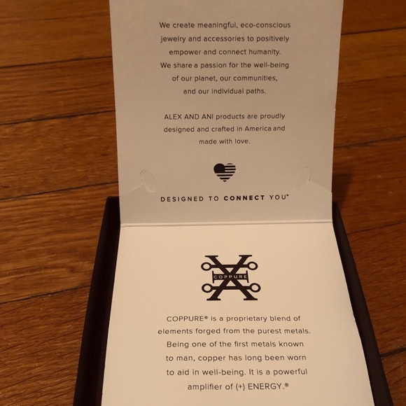 Alex and Ani Charm Bracelet - Picture 6 of 7